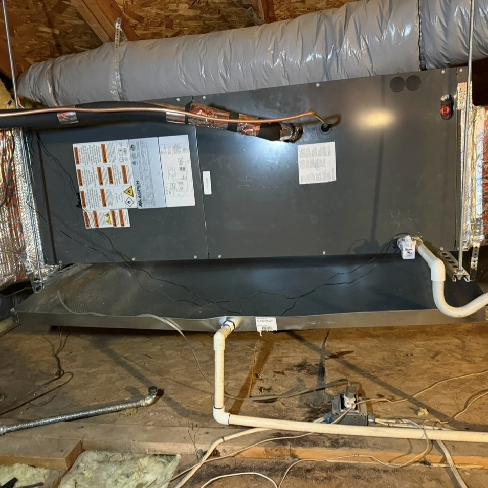 IMG_3605